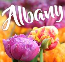 Albany New York Tourism